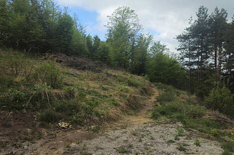 Участок для строительства МАЛЫЙ ЛИПОГЛАВ.: 2