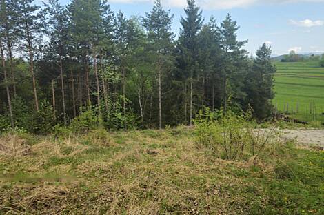 Участок для строительства МАЛЫЙ ЛИПОГЛАВ.: 3