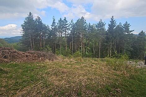 Участок для строительства МАЛЫЙ ЛИПОГЛАВ.: 6