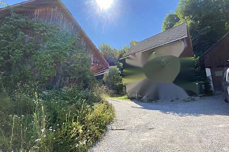 Дом в центре Бледа: 10