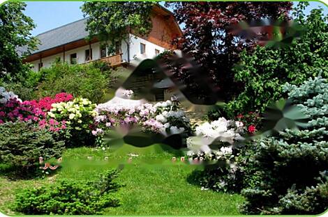 Здание, расположенное в Верхней Липнице: 7