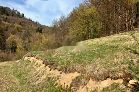 Земельный участок, расположенный в Беснице, с живописным видом и в тихом месте.: 2