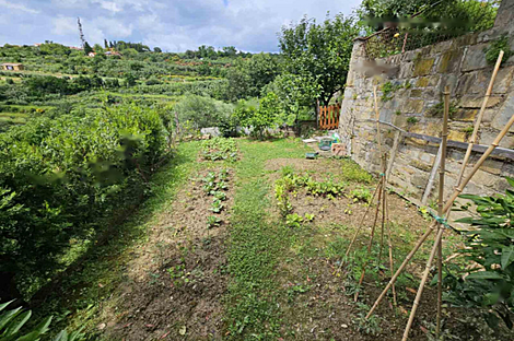 Дом Коломбан с террасой: 2