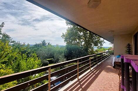 Сеча, дом: 20