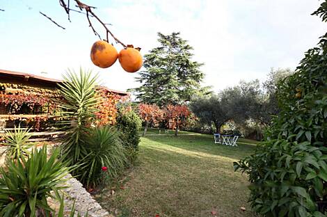 Дом, Сеча: 10