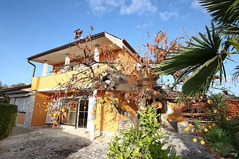 Дом, Сеча: 12