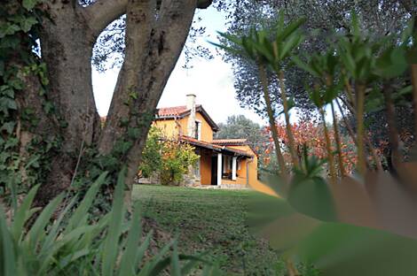 Дом, Сеча: 16