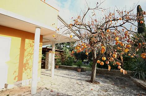 Дом, Сеча: 17