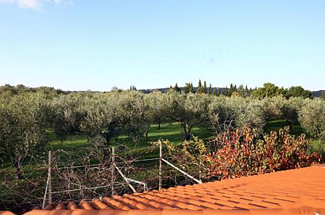 Дом, Сеча: 21