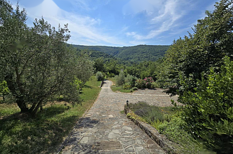 Дом, Пуче, Драгония: 22