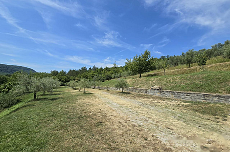 Дом, Пуче, Драгония: 26