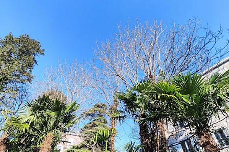 Двухэтажный дом в Порторож: 11