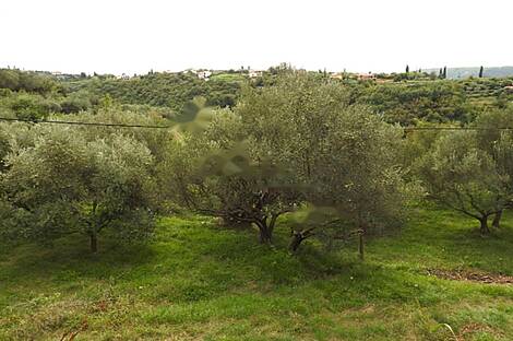 Сеча, Порторож, дом: 2