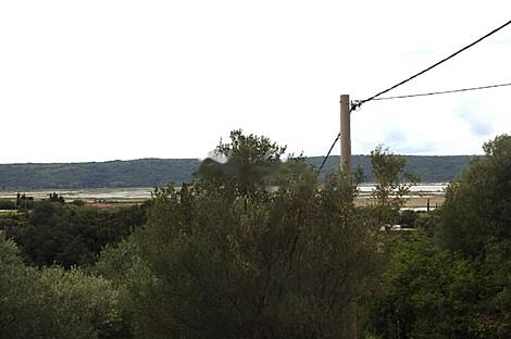 Сеча, Порторож, дом: 5