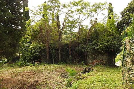 Сеча, Порторож, дом: 12