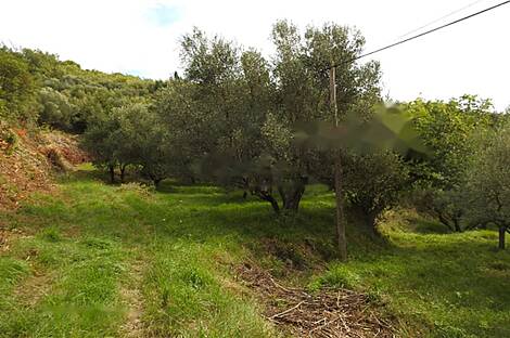 Сеча, Порторож, дом: 14