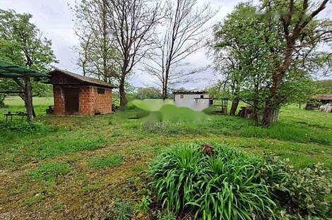 Земельный участок на Руднике предназначен для застройки, территория ровная.: 3