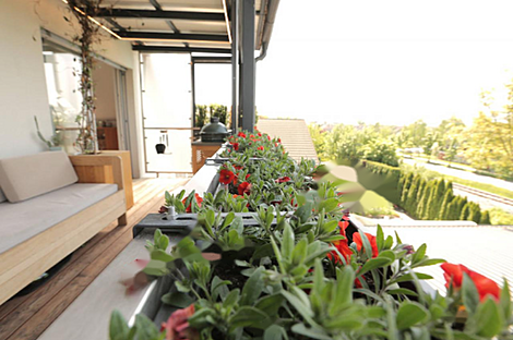 Квартира Закат солнца: 21