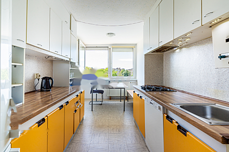 Жилище на Виче: 4