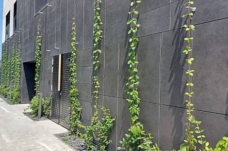 Шишка: квартира с четырьмя комнатами: 7