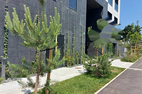 Шишка: квартира с четырьмя комнатами: 8