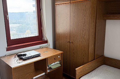 Однокомнатная квартира в Новом Дравле: 9