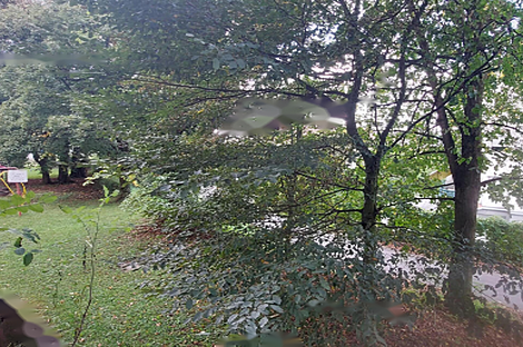 Квартира с тремя комнатами Поле: 2