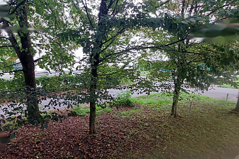 Квартира с тремя комнатами Поле: 17