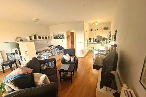 Студия-квартира в Пилоне: 7