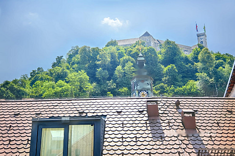 Квартира в центре, более 5 комнат.: 11