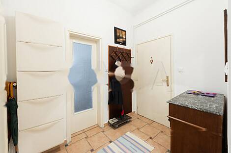 Пятикомнатная квартира в центре Любляны: 9