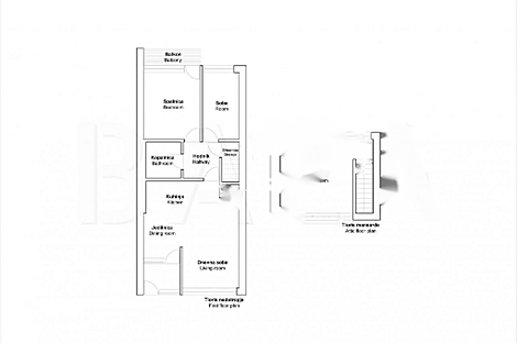 Четырехкомнатная квартира в Шентвиде: 2