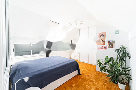 Четырехкомнатная квартира в Шентвиде: 7