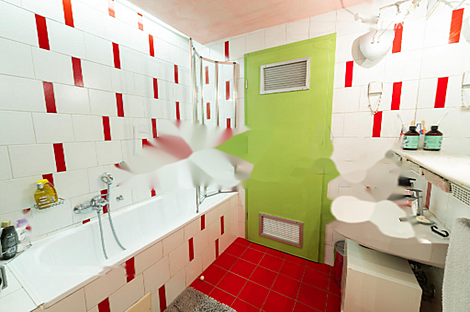 Четырехкомнатная квартира в Шентвиде: 10