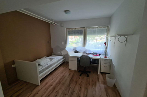 Квартира с более чем пятью комнатами, расположенная в Любляне: 4