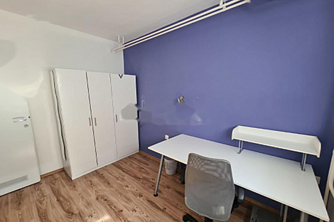 Квартира с более чем пятью комнатами, расположенная в Любляне: 7