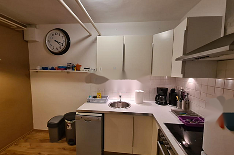 Квартира с более чем пятью комнатами, расположенная в Любляне: 13