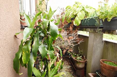 Квартира в районе Бежиград с 4-5 комнатами: 2