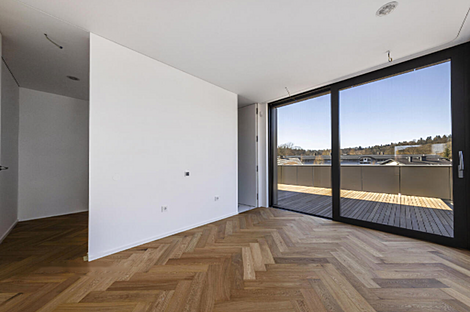 Четырёхкомнатная квартира в центре Любляны: 1