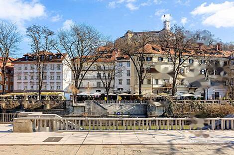 4-комнатная квартира в Старой Льбляне: 1