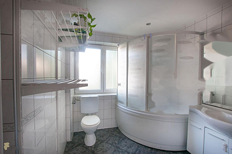 Трехкомнатная квартира Шишка: 2