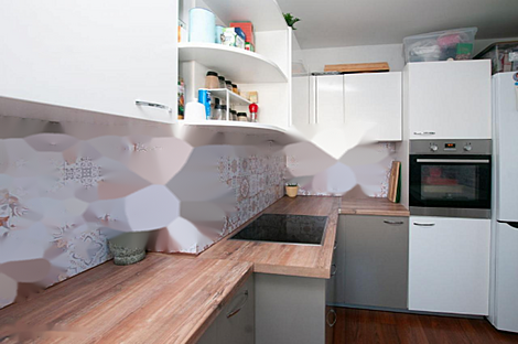 Трехкомнатная квартира Шишка: 4