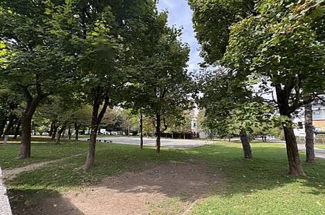 Квартира с четырьмя комнатами: 3