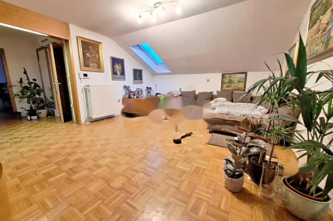 Трехкомнатная квартира в Любляне.: 6