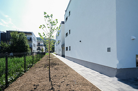 Студийная квартира в Надгорица: 2