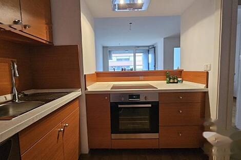 Трехкомнатная квартира в Любляне: 3