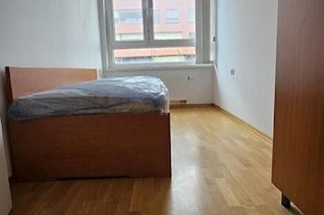 Трехкомнатная квартира в Любляне: 7