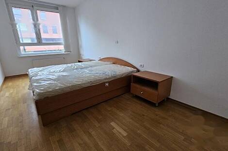 Трехкомнатная квартира в Любляне: 8