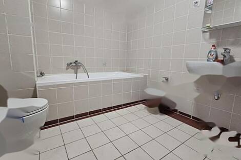 Трехкомнатная квартира в Любляне: 10