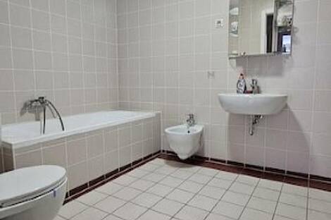 Трехкомнатная квартира в Любляне: 11